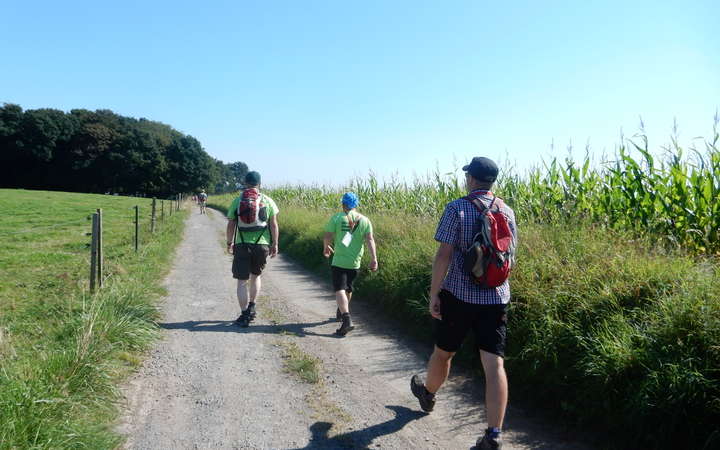 Wanderstrecke | Bergische 50 · Das Sport-Event im Bergischen Land Wanderstrecke () | Bergische 50 · Das Sport-Event im Bergischen Land
