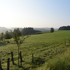 #13 - Impressionen der 2. Bergische 50 - 2017