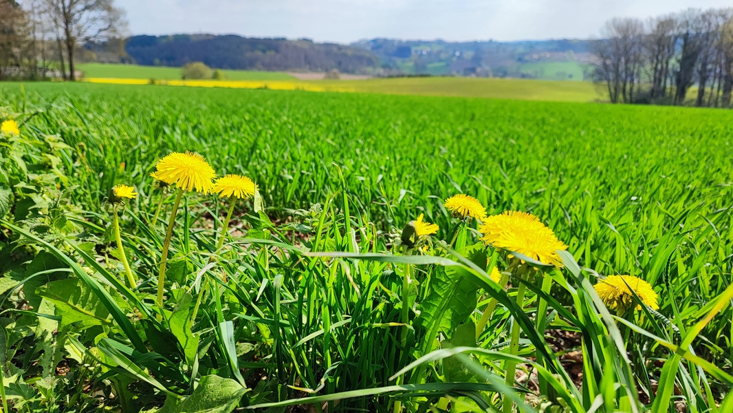 Fantastische Weitsichten des Bergischen Landes | Bergische 50 · Das Sport-Event im Bergischen Land