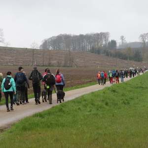 #10 - Impressionen der 8. Bergische 50- 2023