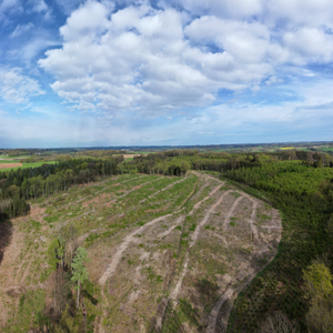 #7 - Impressionen der 9. Bergische 50 - 2024