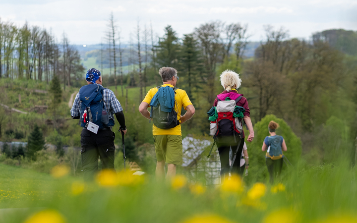 Wanderstrecke () | Bergische 50 · Das Sport-Event im Bergischen Land