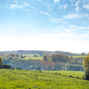 #21 - Impressionen der 11. Bergische 50 - 2026